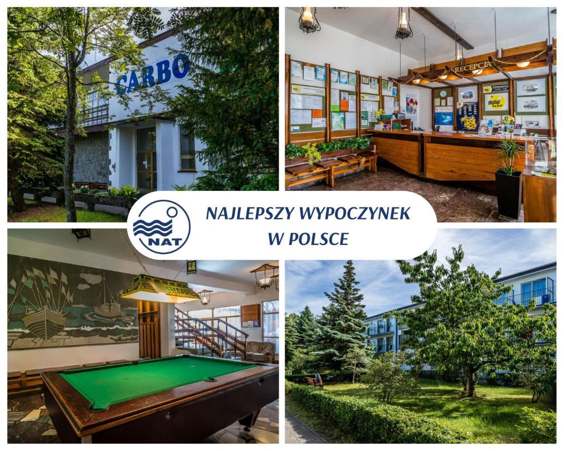 Ow Carbo - W Sasiedztwie Lasu I Jeziora Dąbki